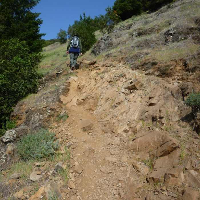 Near Mount Hood via Goodspeed Trail