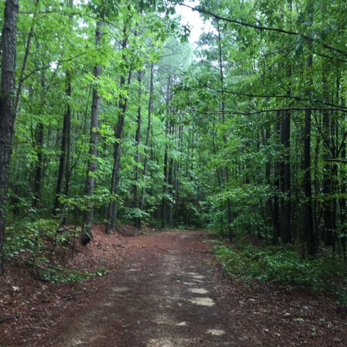 Near Griffin Trail