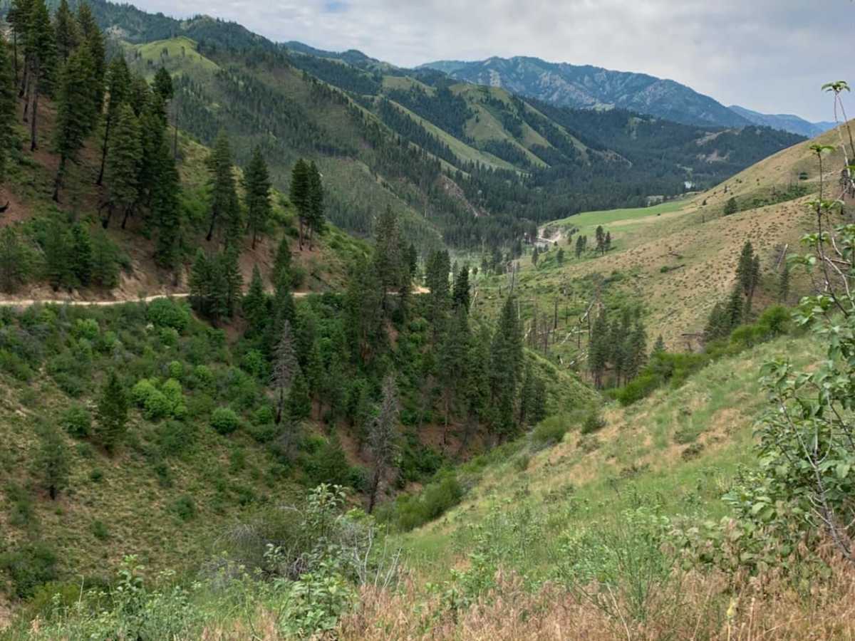 Barber Flat trail photo