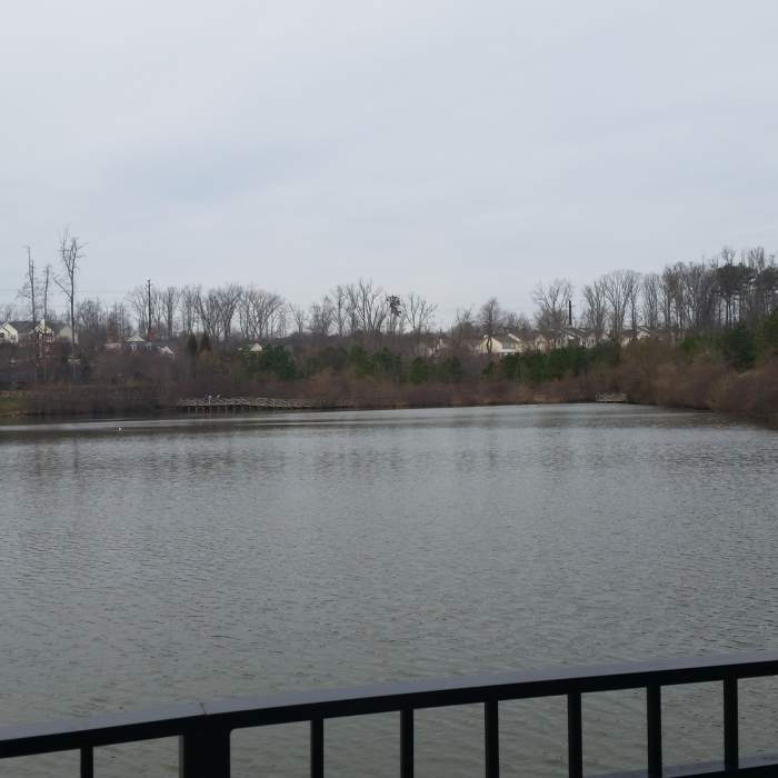 View of pond - total distance around the pond is almost .5 miles. Near Mid-Lothian Mines
