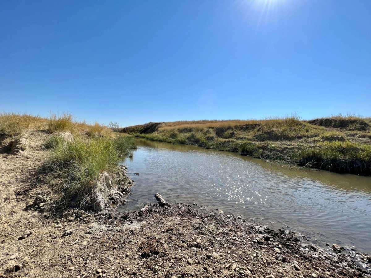 Little Missouri Grasslands photo 6