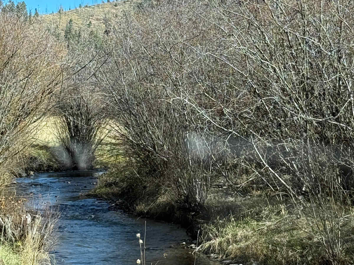 Upper Cow Creek - FS 92 photo 6