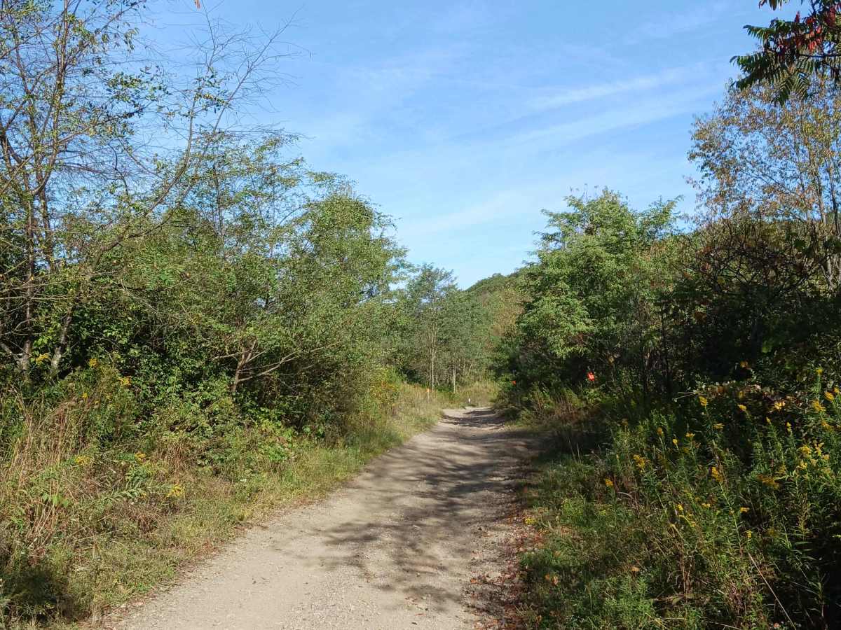 Trail 10 - Rock Run Recreation Area photo 2