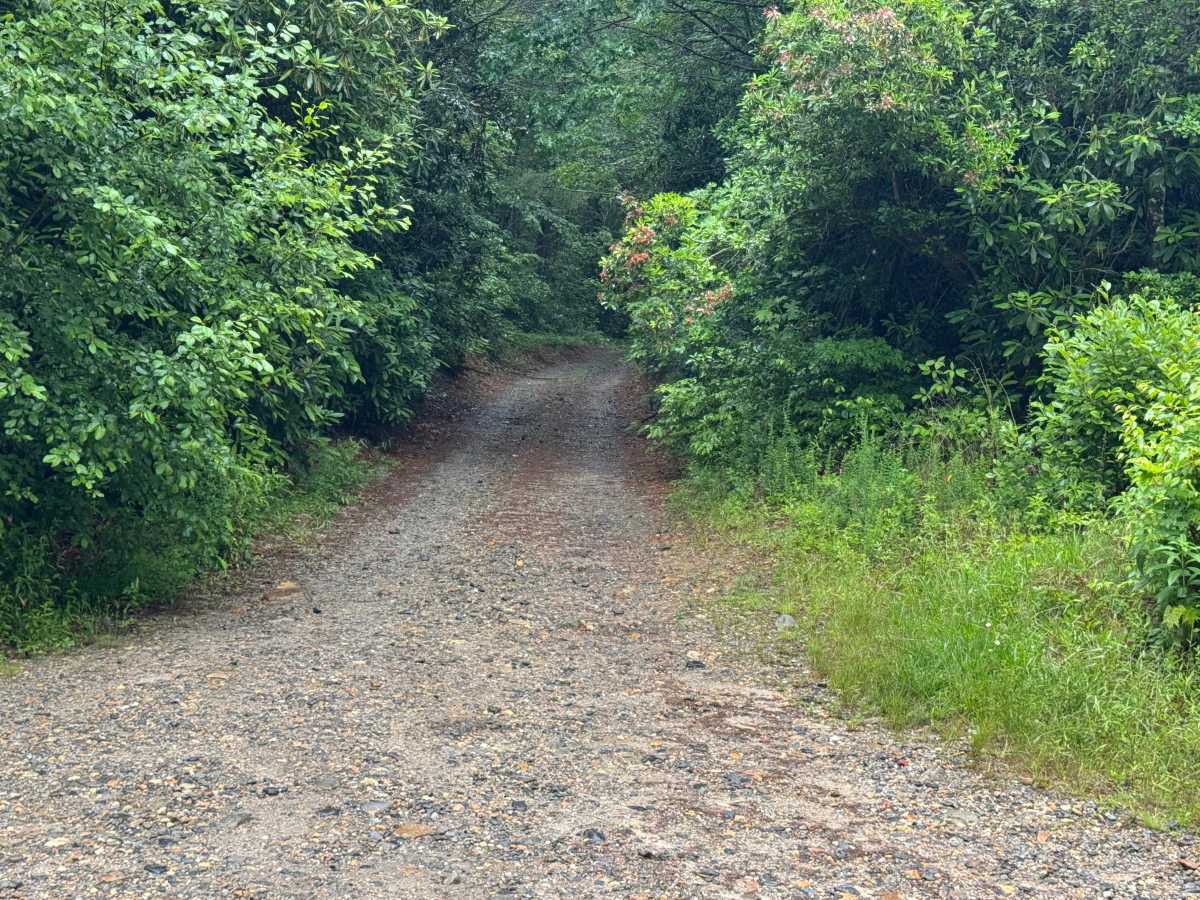 Charlies Creek - FS 72 trail photo
