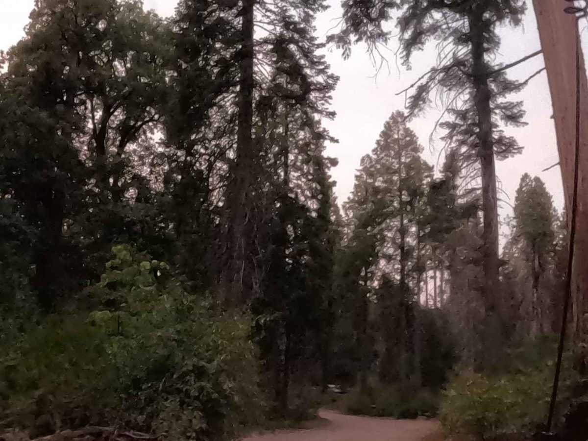 Soquel Meadow - FS 6S040 photo 3