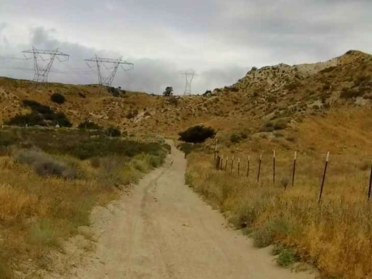 Holy Cow Trail photo 5