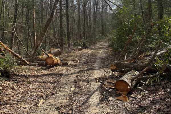 Quarter Branch Road