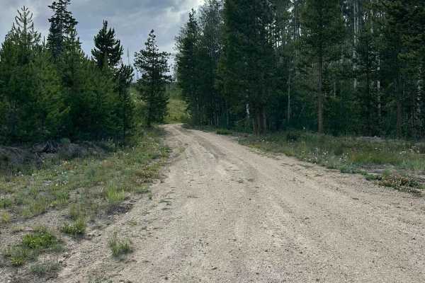 FS Road 112