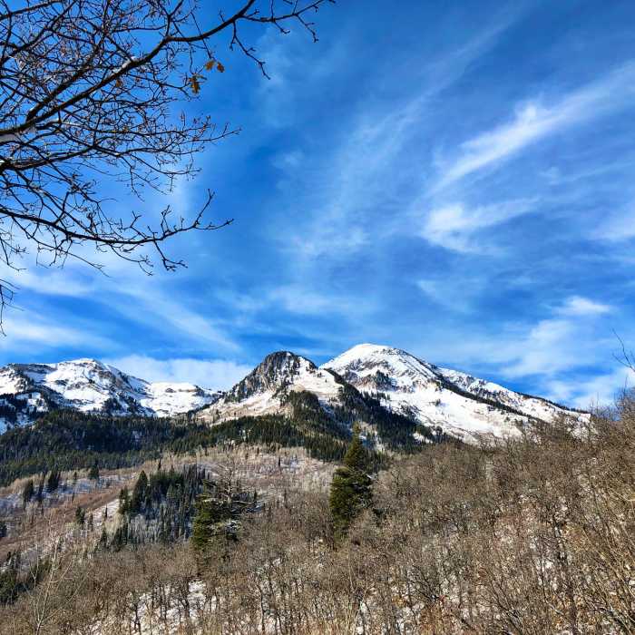 Box Elder Peak from Silver Lake Flat Connector Trail Near Silver Lake Flat Connector Trail