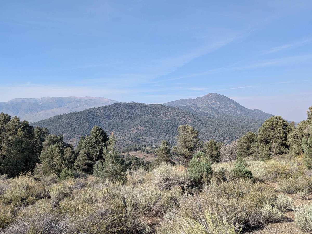 Gaging Station - FS 22396 trail photo