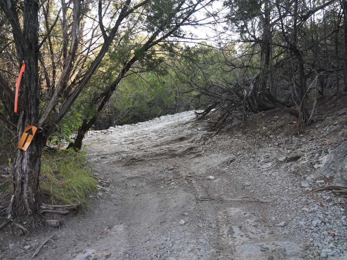 Black 49 trail photo