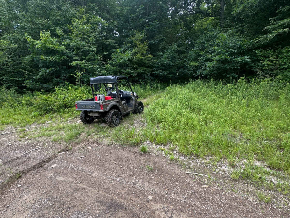 Trail 89 photo 4