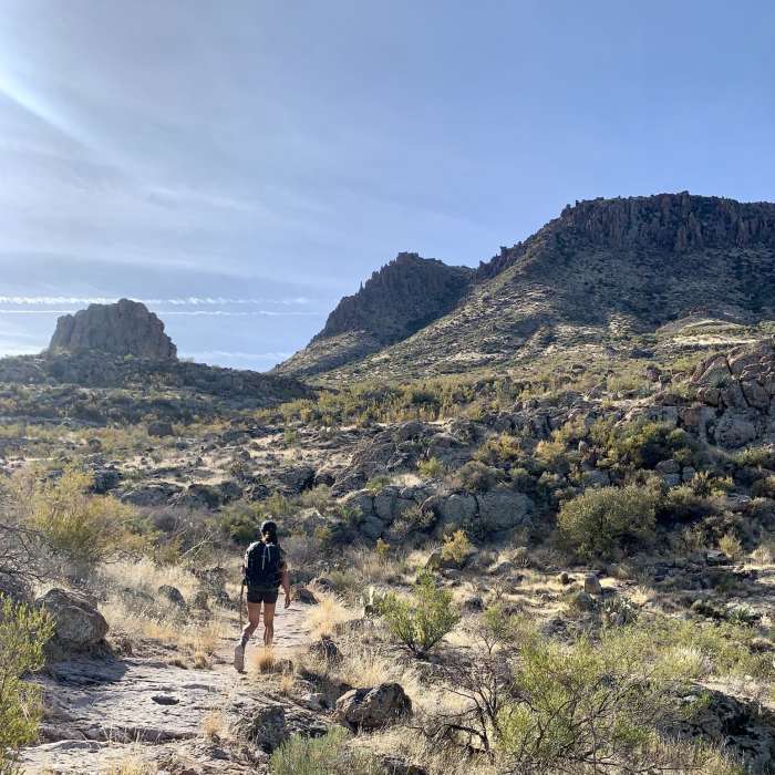 Near Peralta Canyon Trail #102 Near Peralta Canyon Trail #102