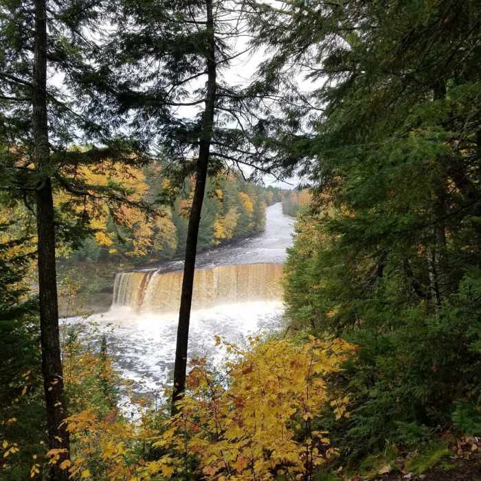 A little downriver from the Upper Falls. Near Tahquamenon Falls Route