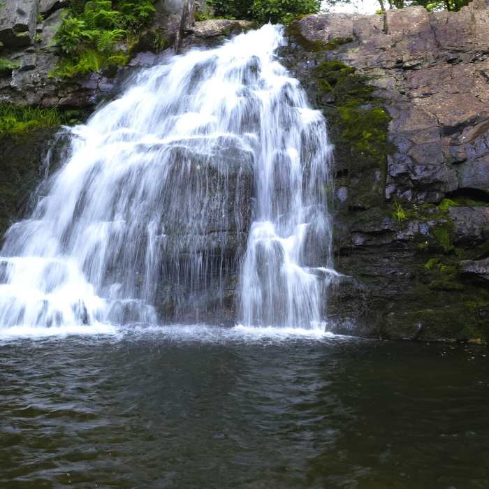 Near Hawk Falls Trail