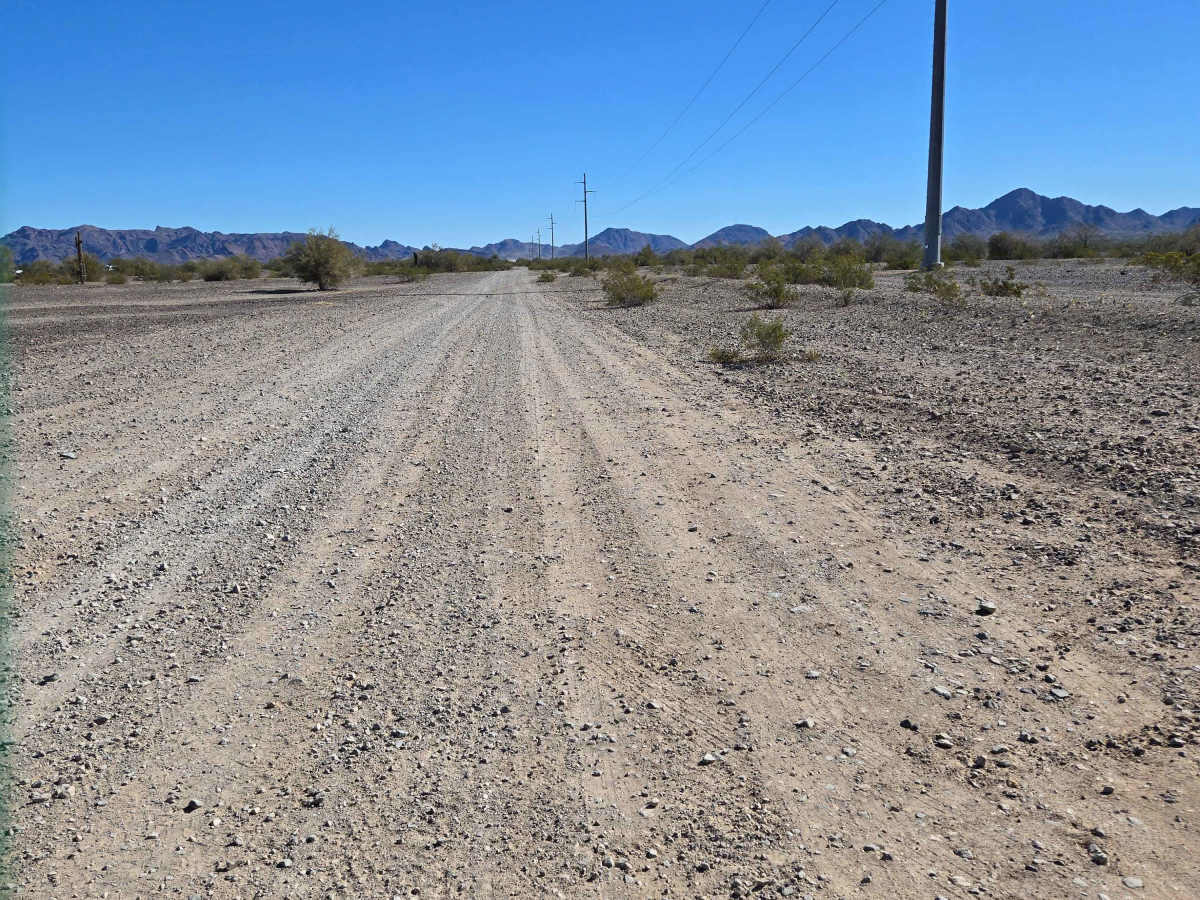 LP207 trail photo