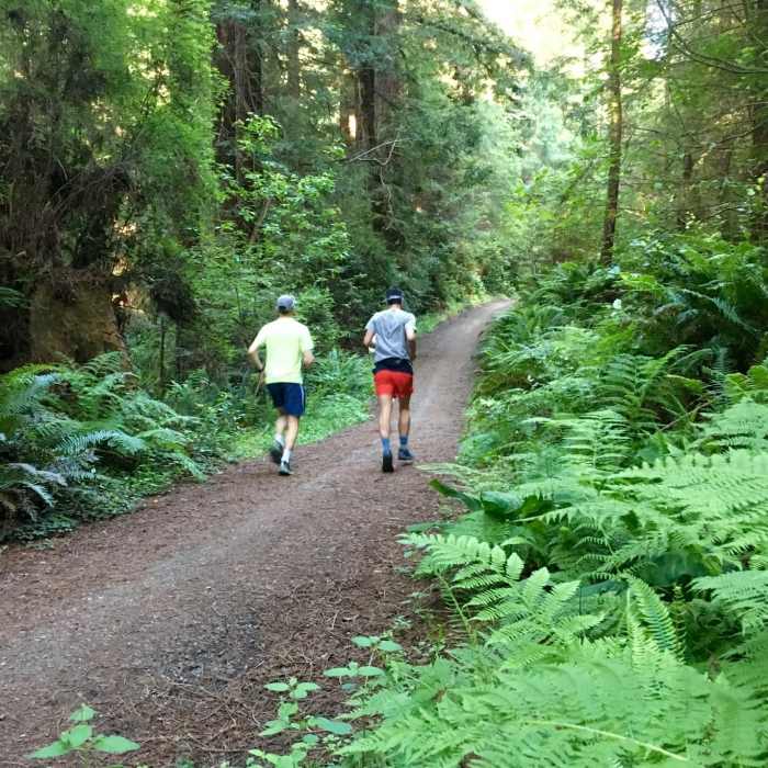 Near Arcata Community Forest Tour