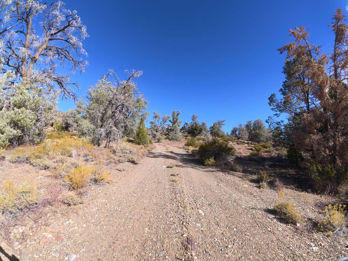 FS 9S10F trail photo