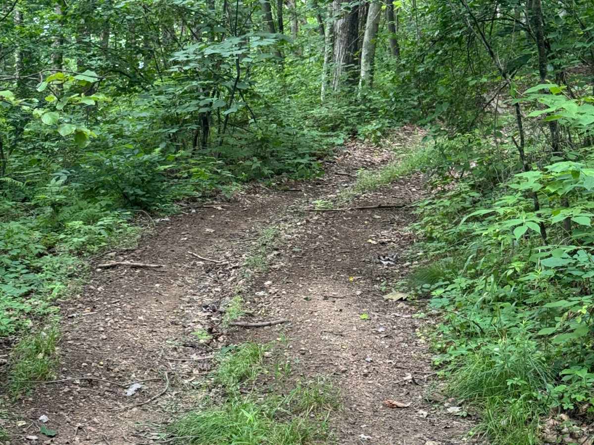 Trail 77 photo 6