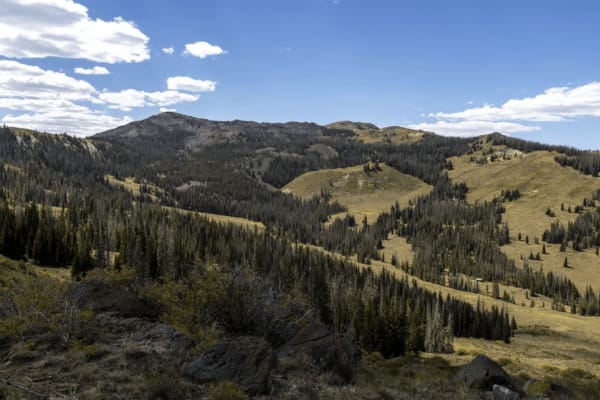 UM Pass Trail