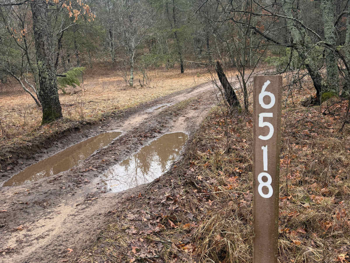 FS 6518 trail photo