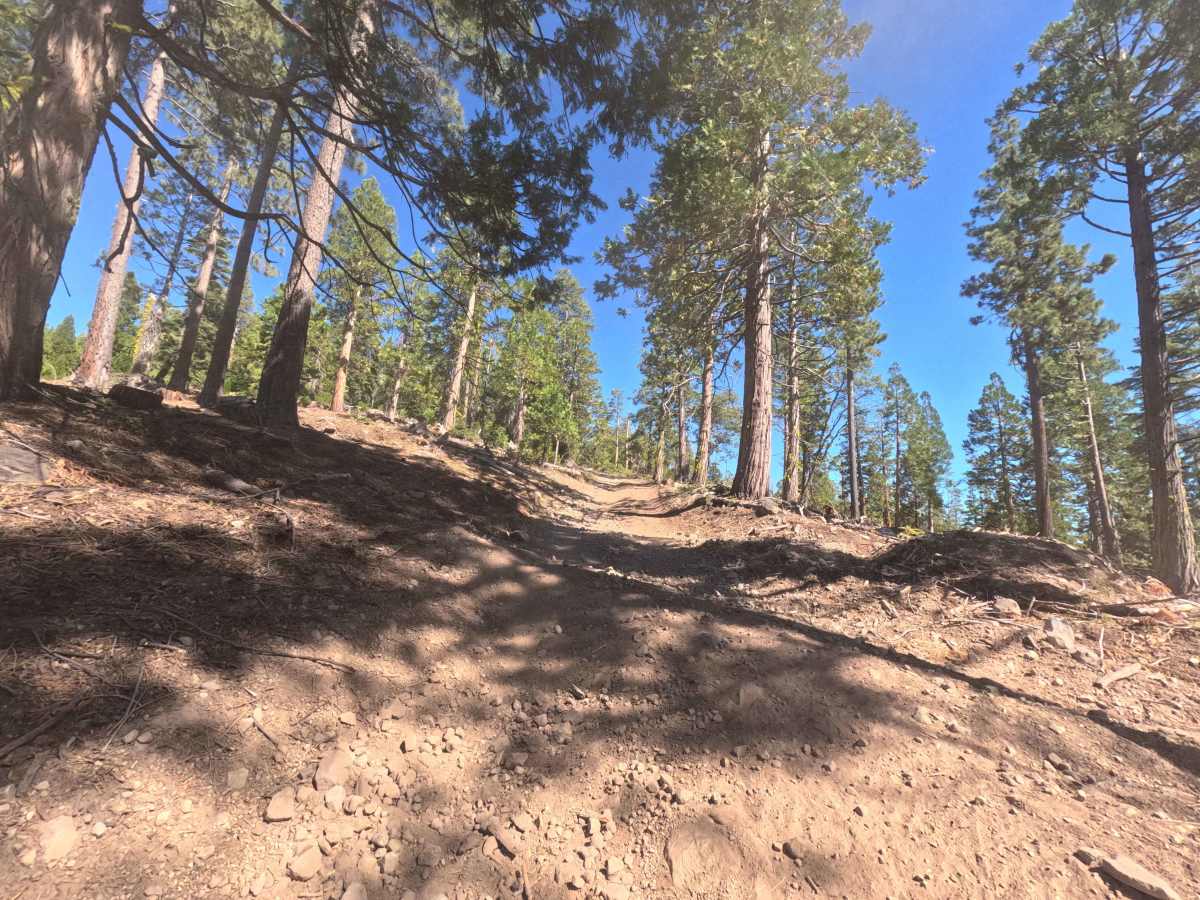 Buck Ranch - FS 6N09 photo 6