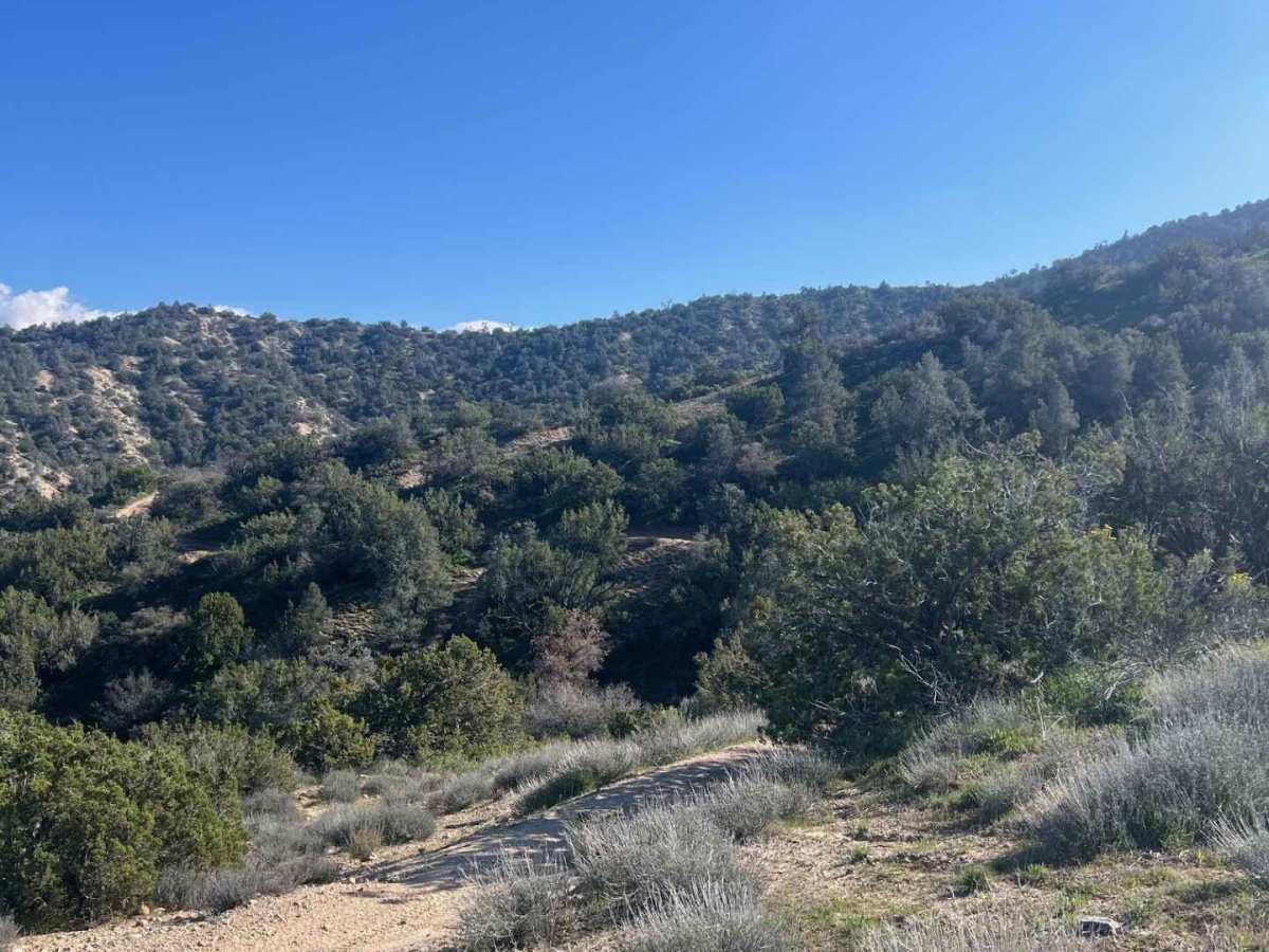 Trail 29 photo 2