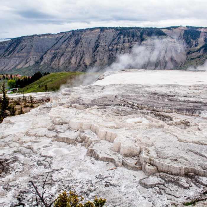 Near Mammoth Hot Springs