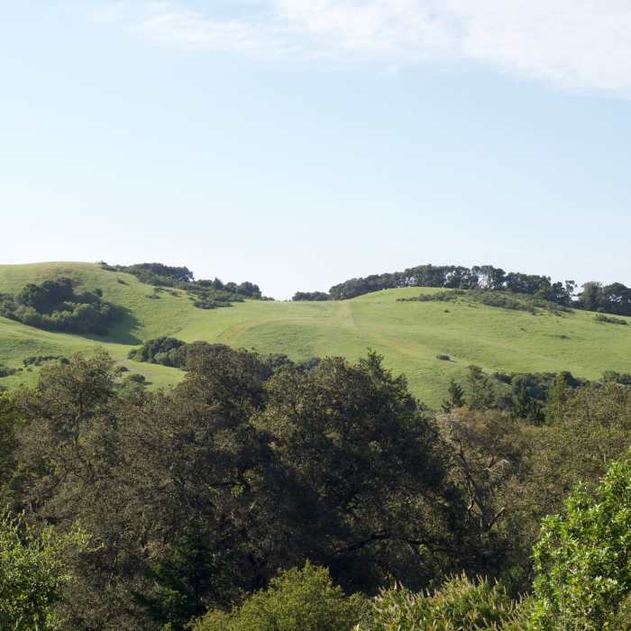Near Hamms Gulch Trail