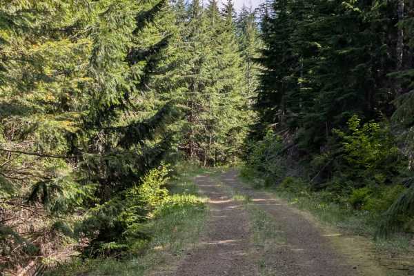 Mine Creek