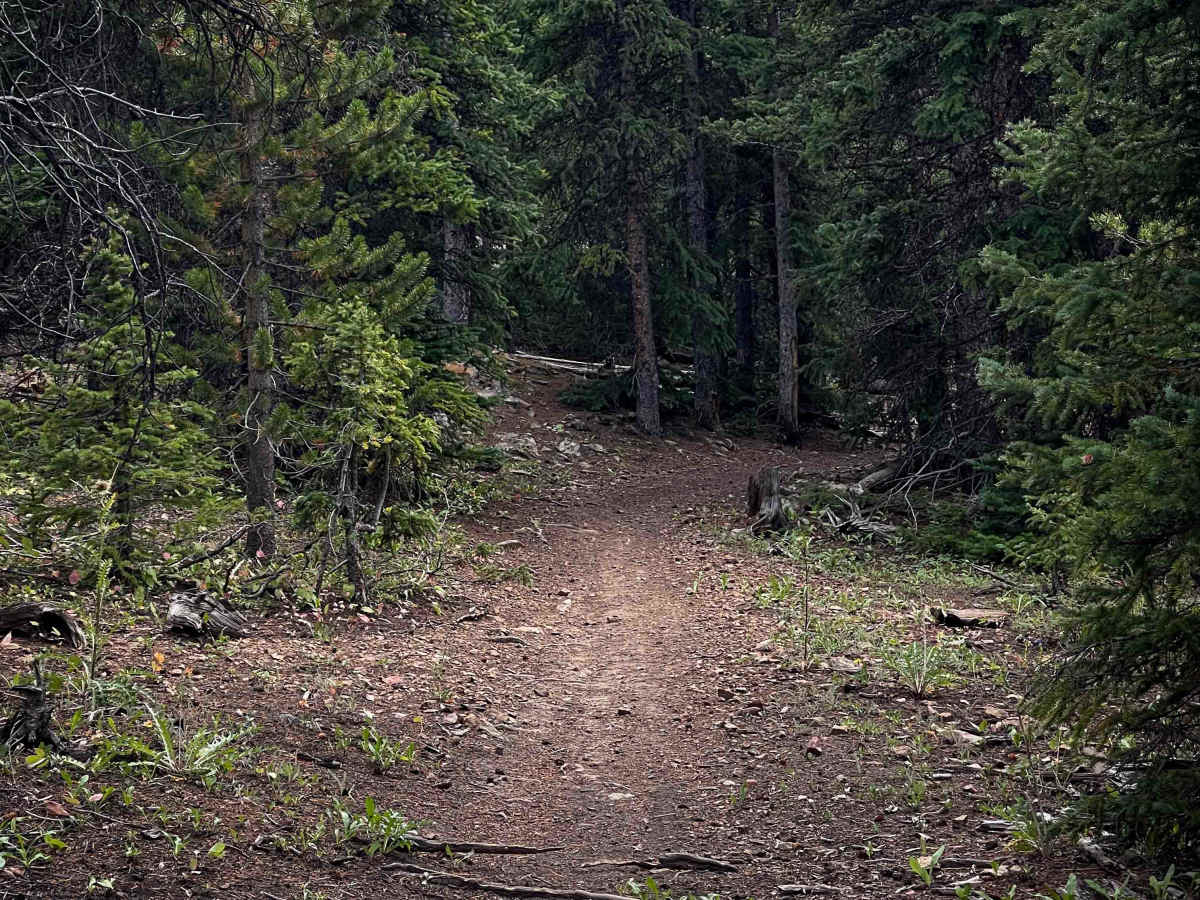 Browns Pass Trail #739  photo 4