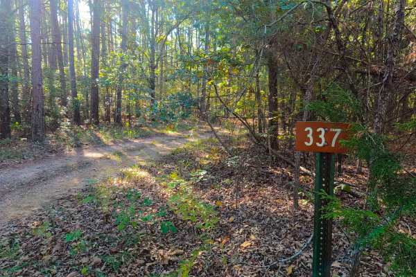 Cassidy Cemetery - FS 337