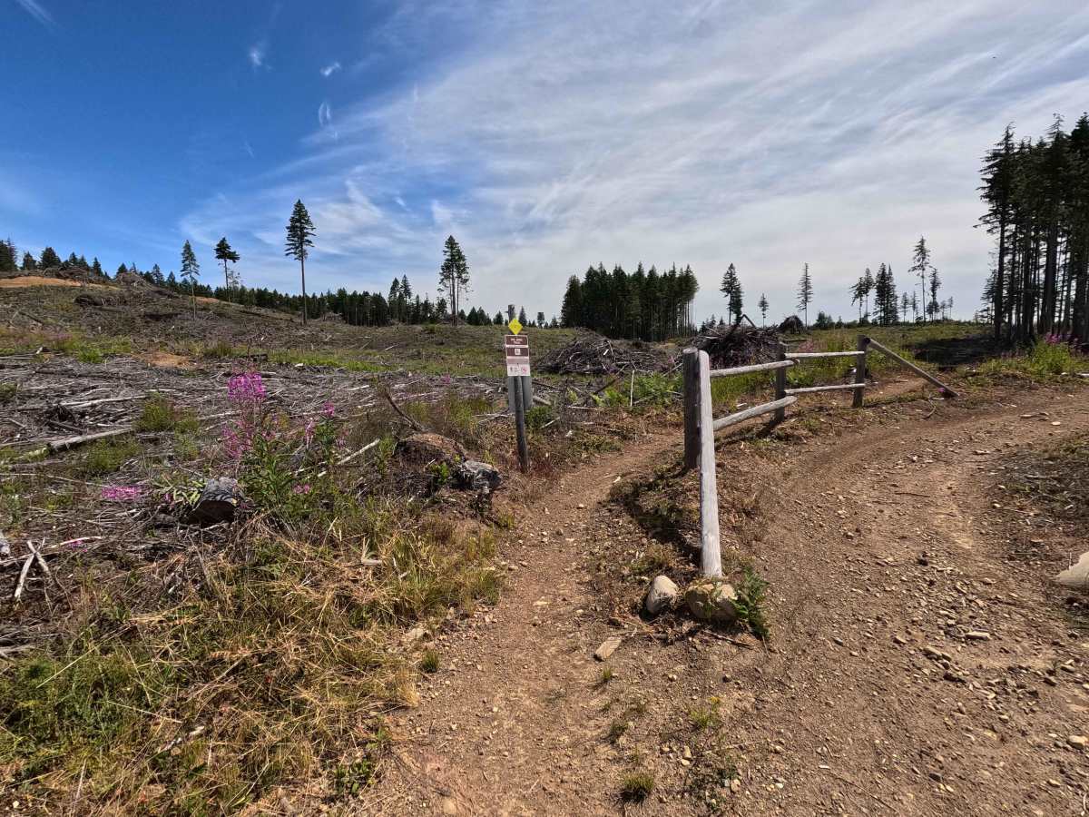 The Shire trail photo
