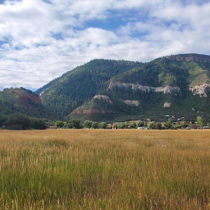 Near South Meadow