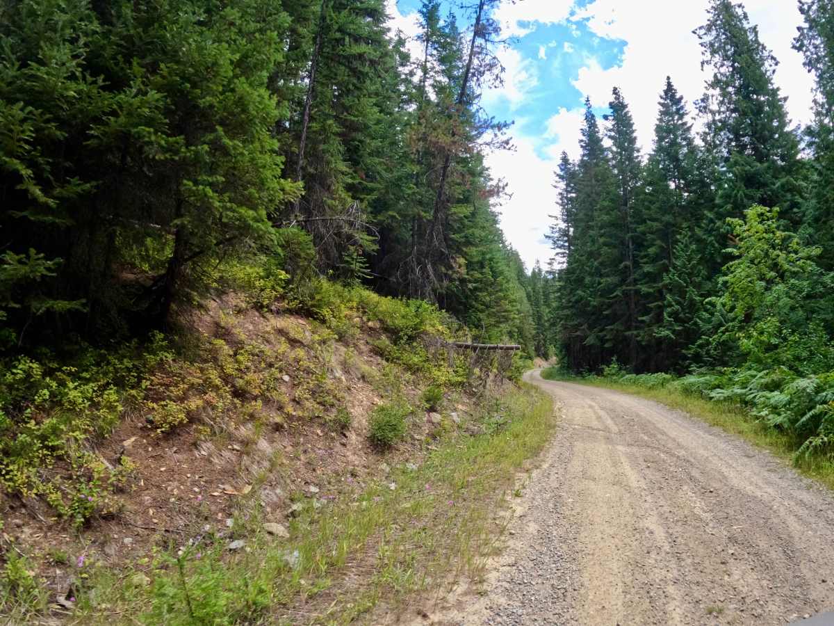 Newman Ridge Road (1185) - Canyon Creek Road (3816) photo 3