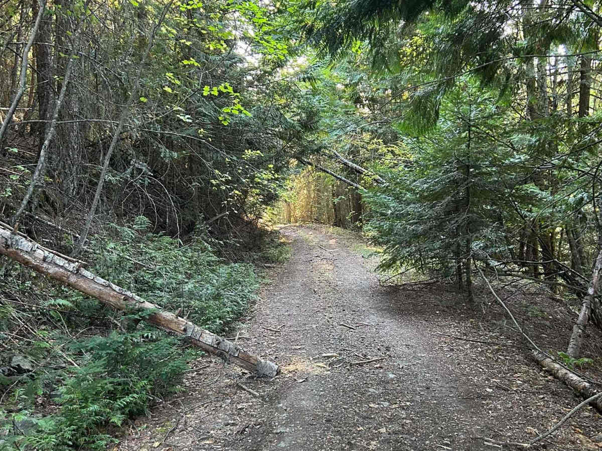 Hoteling Creek C - FS 73680  photo 3