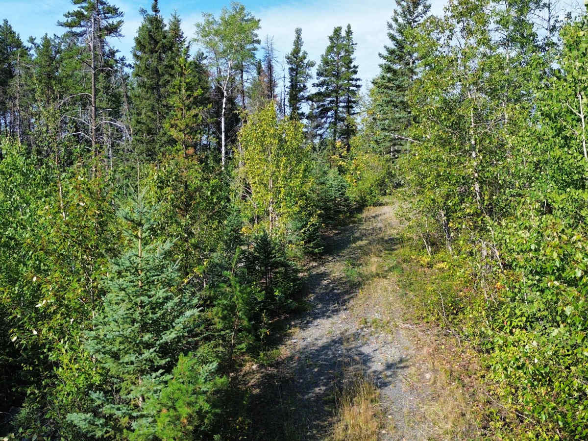 Jeep Mine Road photo 5