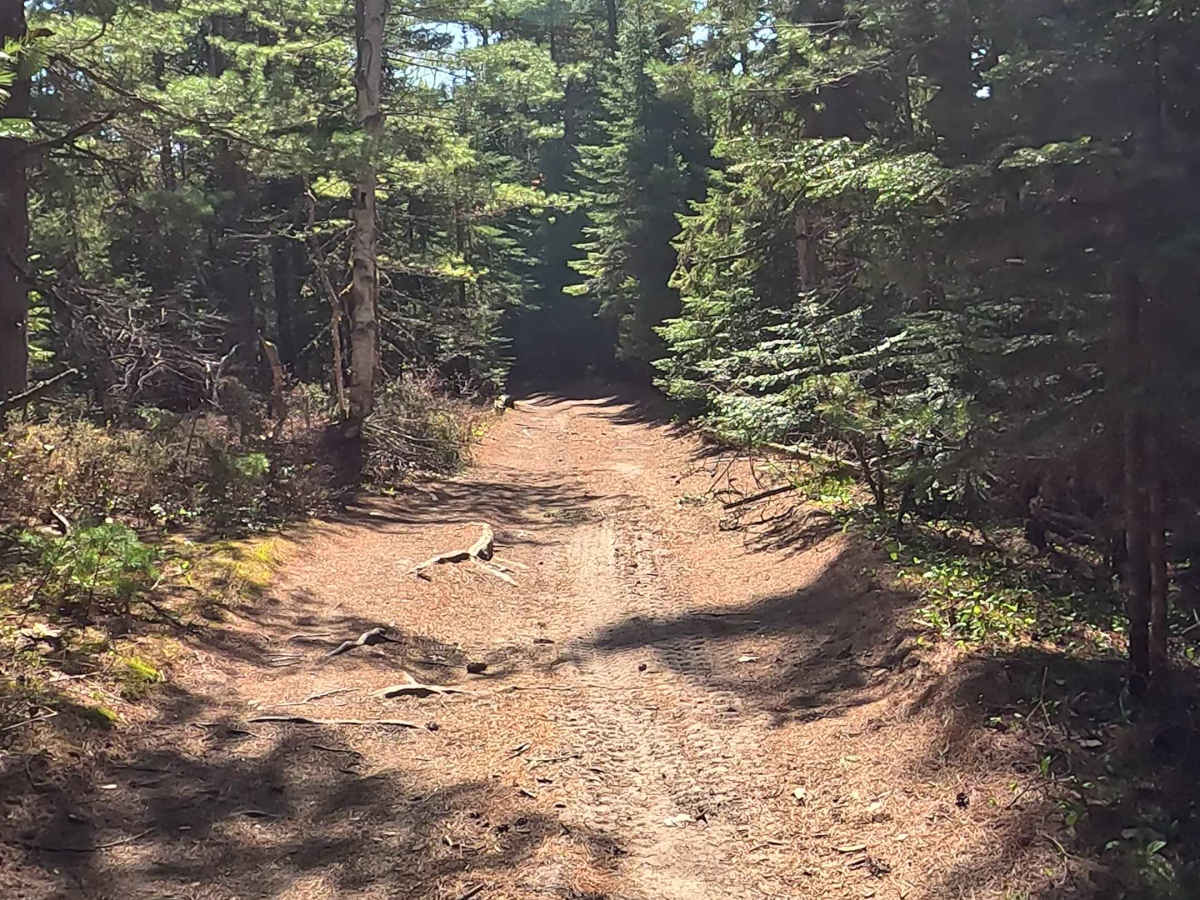 West Wildcat Road photo 4