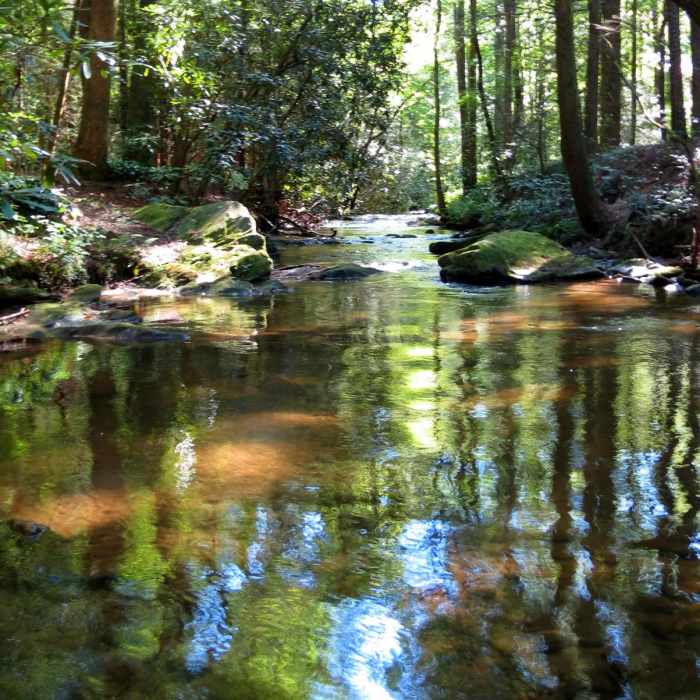 Near Cochran Falls Trail