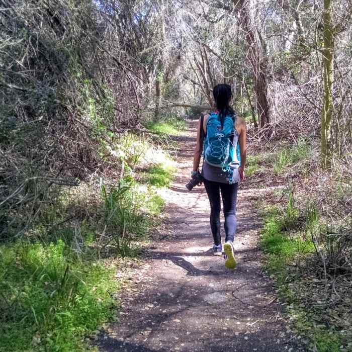Near Santa Ynez Canyon Trail to Eagle Rock