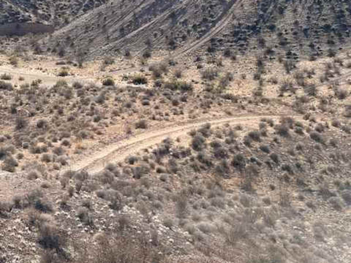 Where's Phil trail photo