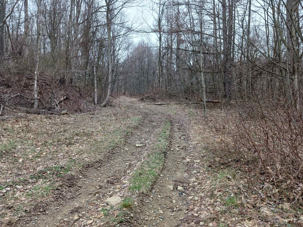 OHV 50 - Rock Run Recreation Area photo 2