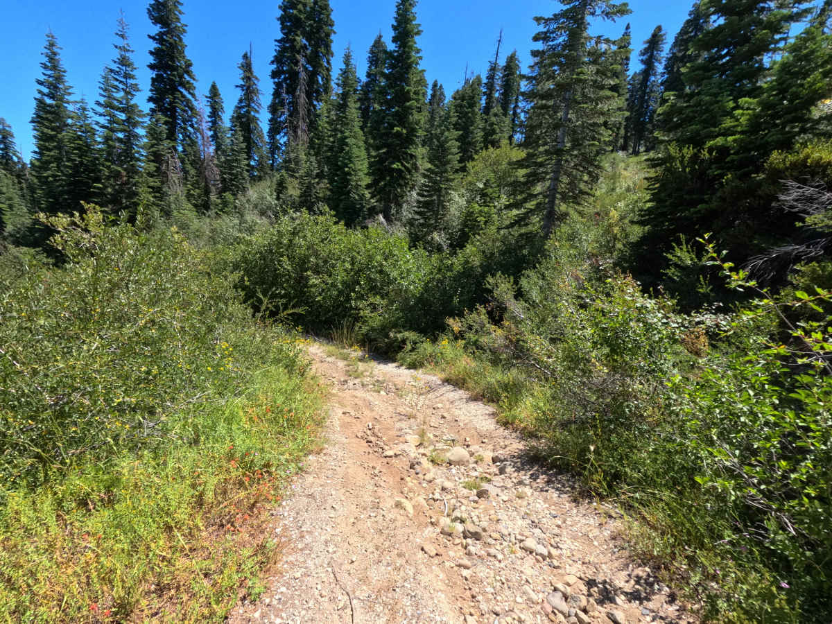 Fir Cap Trail - North Segment - 10E22 photo 2
