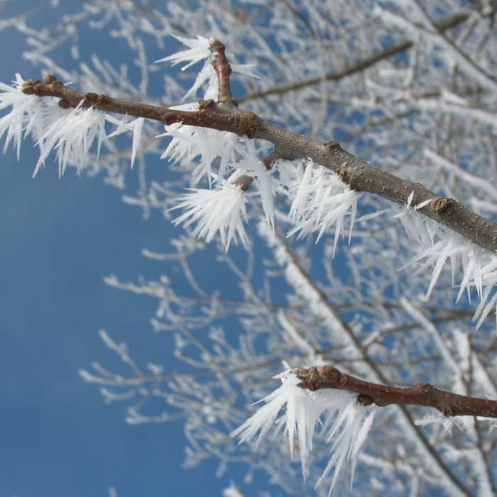 Near Ice Age Trail: Madison Segment