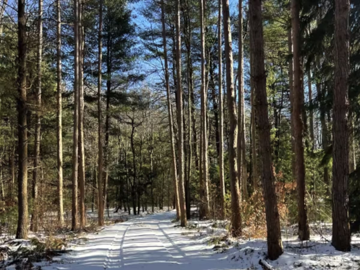 Beaver Meadow Trail photo 3