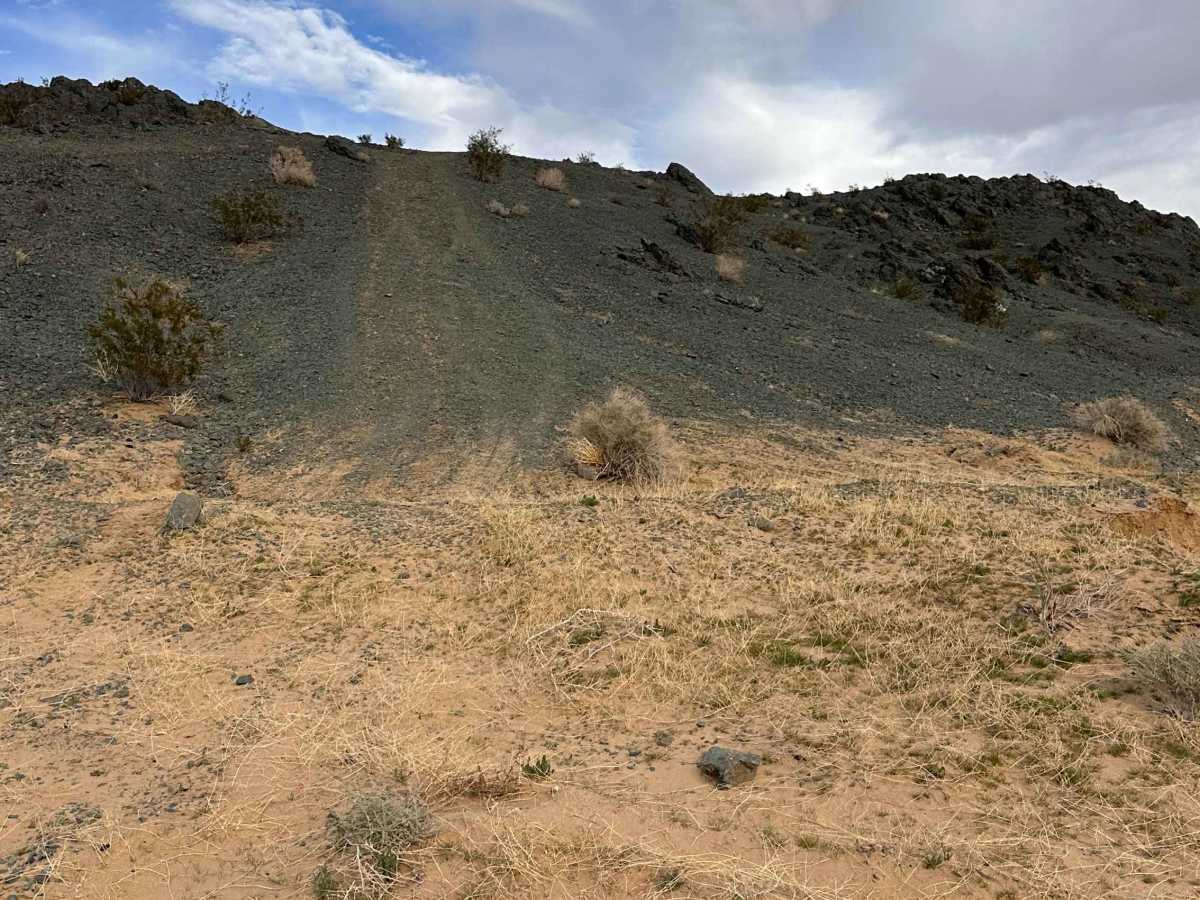 Bump & Run trail photo