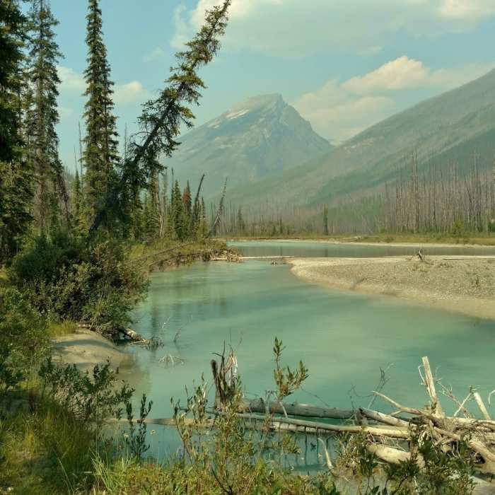 Near Moose River Route: Moose River to Resplendent Crossing