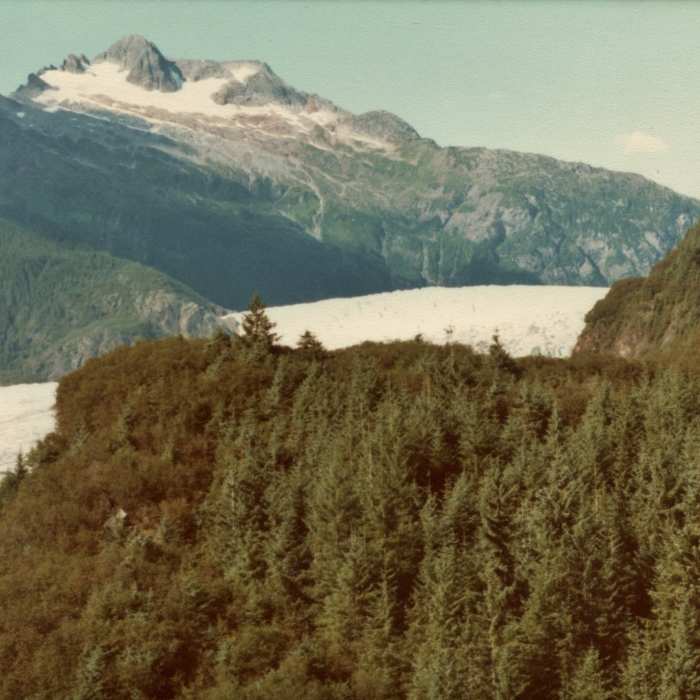 This is looking up Mendenhall Glacier from the East Glacier Trail in 1980. Mendenhall Glacier has receded about a mile since then. Near East Glacier Trail