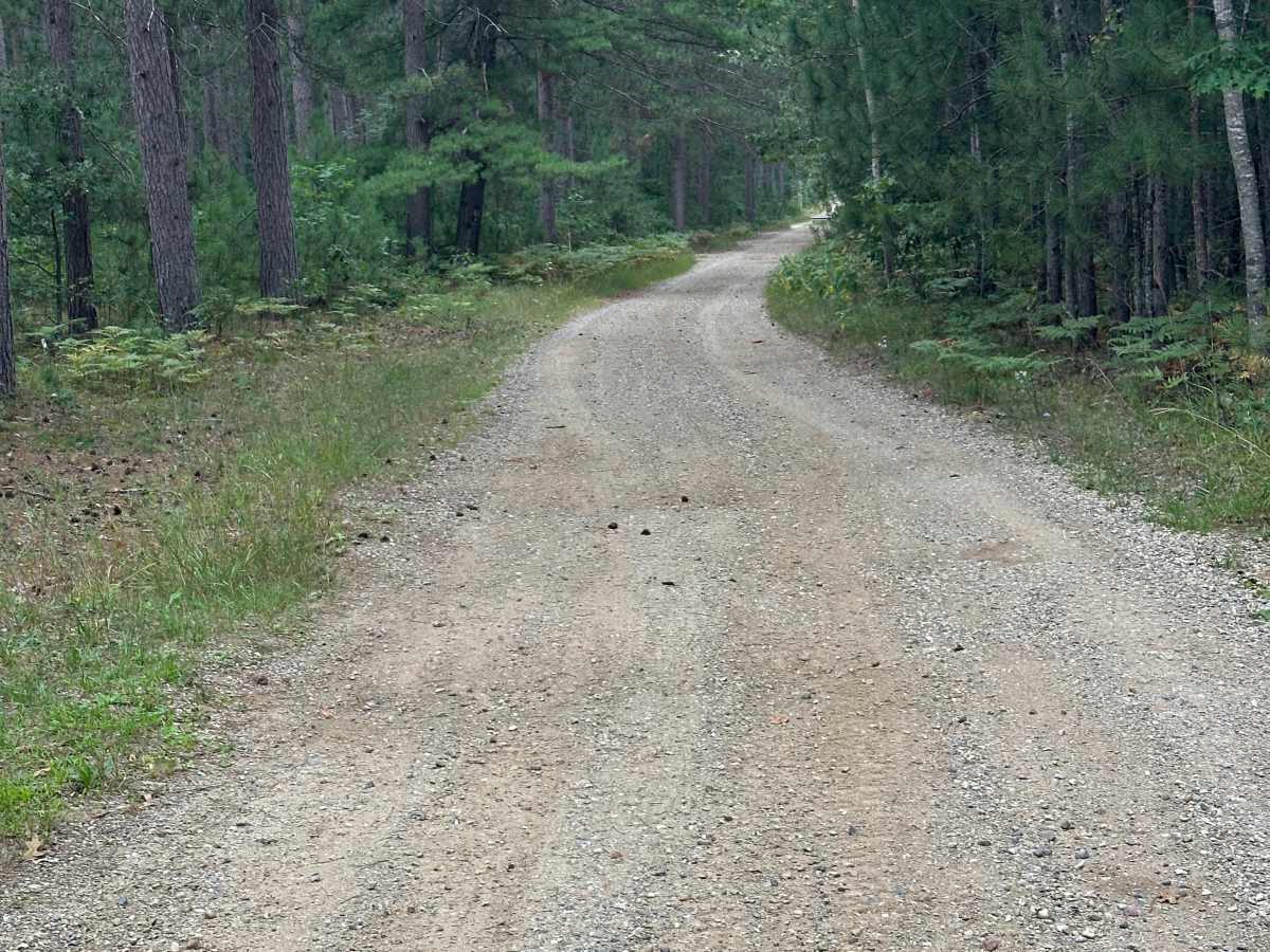 Doe Road photo 3