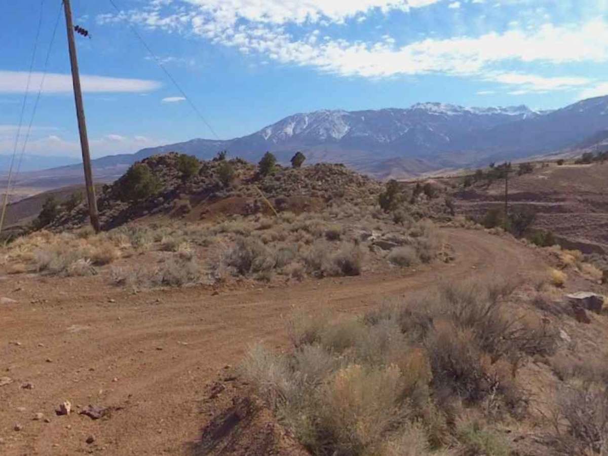 VCA Mine Road photo 3